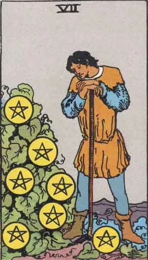 星幣七